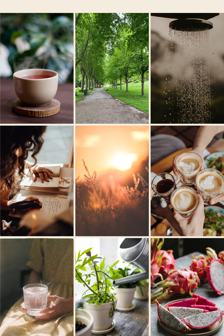A collage of photographs featuring pitayas, watering plants, a glass of water, a coffee gathering, the sunlight, a woman writing, a shower, a park and a cup of tea.