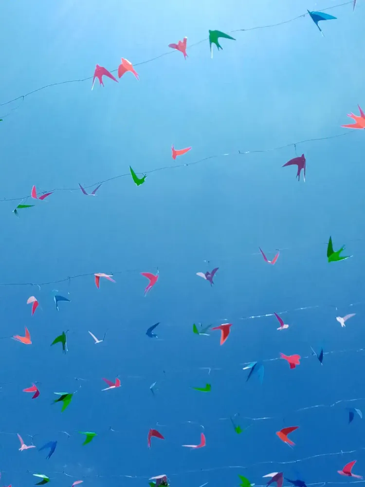 paper birds and the blue sky