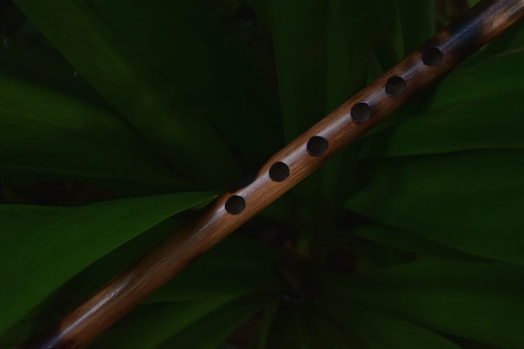 The wooden flute | Pitaya Letter 3