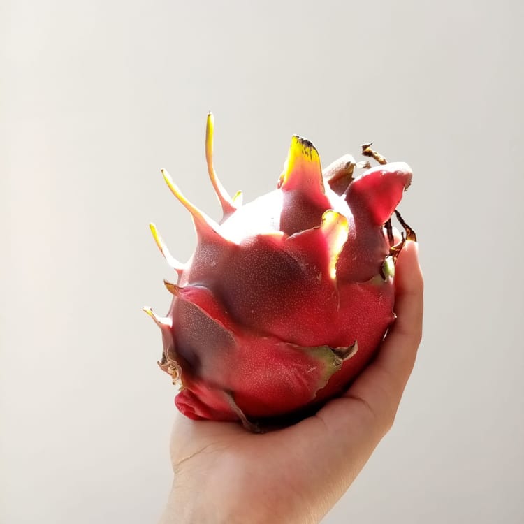 Moving forward | Pitaya Letter 12.