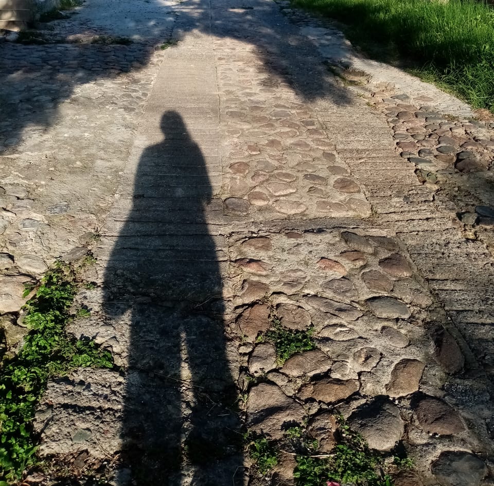 a woman's shadow reflected on a path