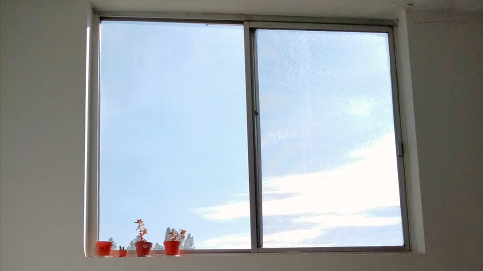 Sunlight Stories No. 5 | Waking up with the sunrise.